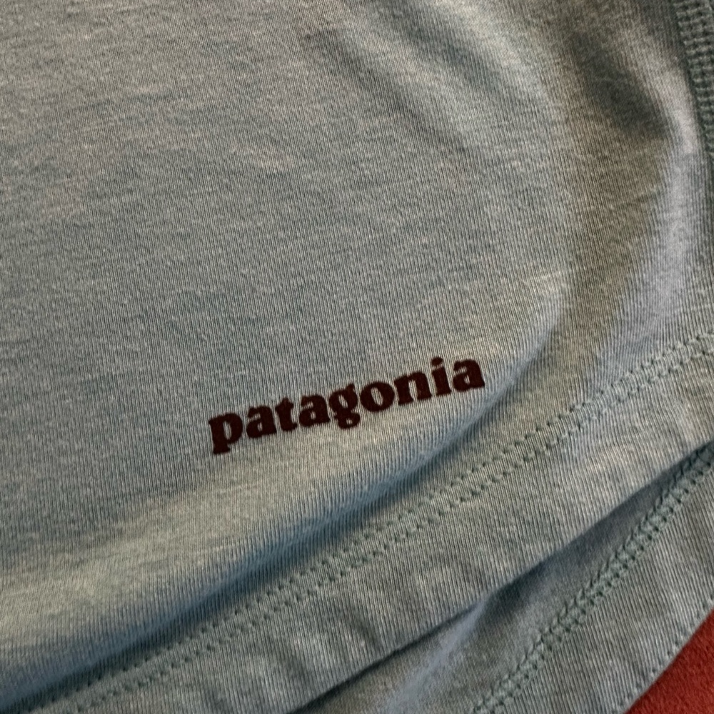 Patagonia Tshirt